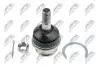 ШАРОВА ОПОРА ПІДВІСКИ | TOYOTA LAND CRUISER 120 GRJ12#/KDJ12#/RZJ12#/TRJ12#/VZJ12# 02-09 /ПЕРЕД НИЗ/ NTY ZSDTY067 (фото 1)