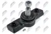 ШАРОВА ОПОРА ПІДВІСКИ | LEXUS GS300/350/430 4WD 05-, IS250/350 4WD 05-, IS250/350/300H 12- /ПЕРЕД НИЗ/ NTY ZSDTY084 (фото 1)