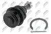 ШАРОВА ОПОРА ПІДВІСКИ | TOYOTA LAND CRUISER 200 UZJ/VDJ200 07-, LEXUS LX570 07-, TUNDRA 06- /ПЕРЕД НИЗ/ NTY ZSDTY086 (фото 2)