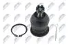 Шаровое соединение ручки honda accord cl cu 08, 52400sm4043 NTY ZSGHD005 (фото 1)