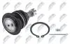ШАРОВА ОПОРА ПІДВІСКИ | TOYOTA LANDCRUISER 200 07-, FJ CRUISER GSJ10/15 06-, LEXUS LX570 07- /ПЕРЕД ВЕРХ/ NTY ZSGTY016 (фото 2)