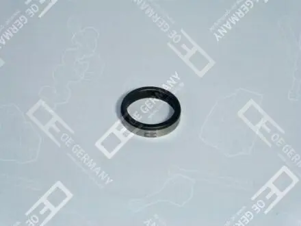 Гніздо клапана OE Germany 010123900000