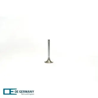 Впускний клапан OE Germany 020520280000