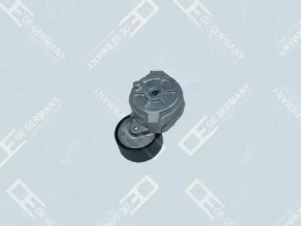Ролик обводной, MAN TGS/TGX OE Germany 022050206600