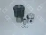Поршень з гільзою DEUTZ DEUTZ FAHR D F2L912 01.68- OE Germany 040329912004 (фото 1)