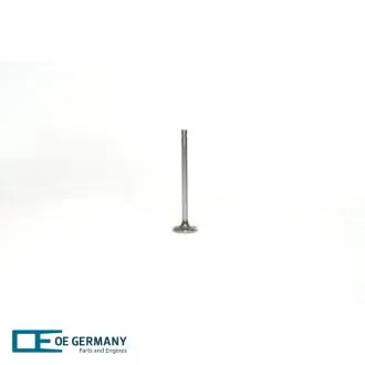 Випускний клапан OE Germany 060520XF1052