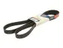 Поликлиновый ремень OPTIBELT 8PK2080 (фото 1)