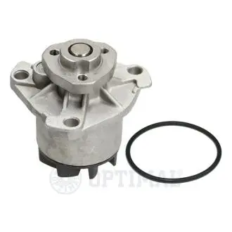 Насос води Optimal AQ1060