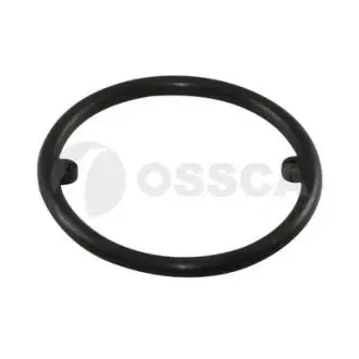 Уплотняющее кольцо OSSCA 04975