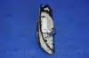 Електробензонасос DAEWOO NUBIRA 1,6/2,0 16V (J100) PARTS-MALL PDC-M004 (фото 3)