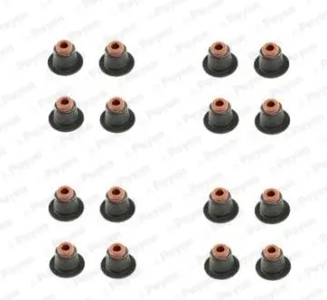 Сальник клапана (компл.) BMW N42/N46 (16PCS) (вір-во) Payen HR5086