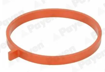 Прокладка, впускний колектор RENAULT 0,9 TCe H4B Payen JD6186