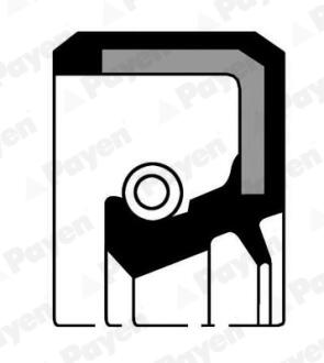 Автозапчасть Payen NK137
