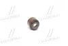 Сальник клапана EX HONDA D13/D15/D16 Payen PB356 (фото 1)