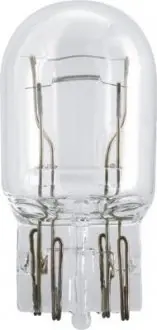 Автомобильная лампа PHILIPS 47138328