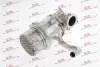 Охолоджувач рециркуляції вихлопних газів EGR A3, 13- Polcar 13C1E81 (фото 1)