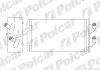 Радіатор обігріву Polcar 3001N81 (фото 1)