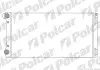 Радіатор двигуна Polcar 302208A2 (фото 1)