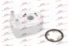 Радіатор мастила Polcar 3042L82 (фото 1)