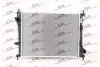Радіатор охолодження Polcar 3066082 (фото 1)