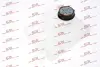 Розширювальний бачок Volvo C30, C70 Ii, S40 Ii, V50 Ford C-Max, Focus C-Max, Focus Ii, Kuga I 10.03-06.13 Polcar 3202ZB-6S (фото 1)