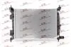 Радиатор двигателя Polcar 41B1082 (фото 1)