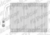 Испаритель кондиционера Polcar 5025P81 (фото 1)