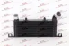 Інтеркуллер Polcar 5274J81 (фото 1)