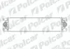 Радиатор воздуха (интеркулер) Polcar 6042J81 (фото 1)