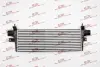 Интеркуллер Polcar 81P3J81 (фото 1)