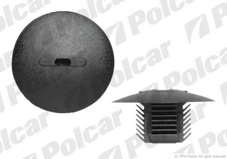Пістон Polcar RXC60357 (фото 1)