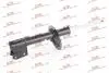 Амортизатор газовий Polcar S010212G (фото 1)