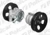 Помпа гідропідсилювача OPEL ASTRA F/VECTRA Polcar S5055003 (фото 1)