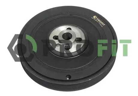 Шків ременя генератора PROFIT 1014-9910