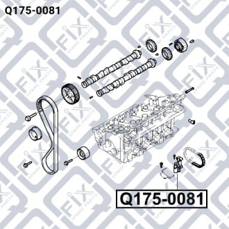 Натяжитель цепи ГРМ Q-fix Q175-0081