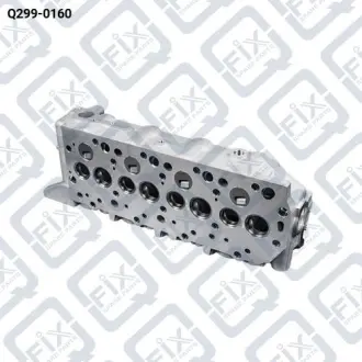 ГОЛОВКА БЛОКА ЦИЛИНДРОВ (ГОЛАЯ) Q-fix Q299-0160
