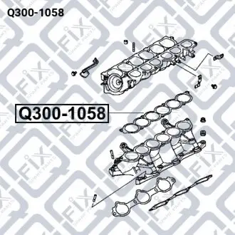 Прокладання впускного колектора Q-fix Q300-1058
