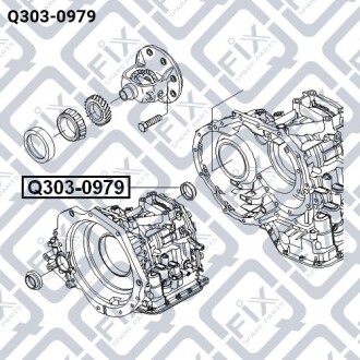 Сальник приводу (правий) Q-fix Q303-0979