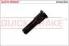 Болт гальмівного диска QUICK BRAKE 0173 (фото 1)