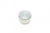 Поршень супорта (переднього) Land Cruiser Prado 98- (48x31mm) QUICK BRAKE 185024 (фото 2)