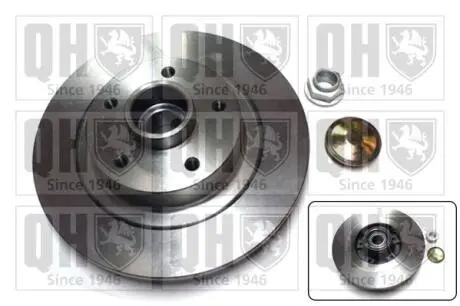Диск тормозной (задний) Renault Scenic III 2.0dCi 09- (290х11) (+ABS) (с подшипником) QUINTON HAZELL BDC5984