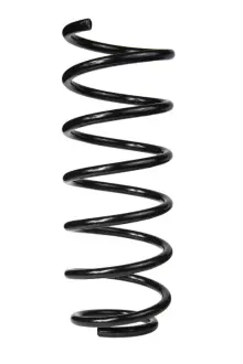 Пружина передняя VW Passat B3 88-92 RAISO SF059TP