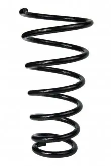 Пружина задня Tucson/Sportage 04-10 (359*14,3*155,5) RAISO SR060TP