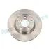 TARCZA HAM. NISSAN QASHQAI 07- 295X25 PRZУD RAP BRAKES RD0214 (фото 1)