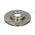 TARCZA HAM. SUZUKI SWIFT 04- 252X20 PRZУD RAP BRAKES RD0285 (фото 2)
