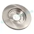 TARCZA HAM. PEUGEOT 306 247X20,4 PRZУD RAP BRAKES RD0899 (фото 4)