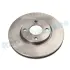 TARCZA HAM. FORD ECOSPORT 13- 278X25 PRZУD RAP BRAKES RD1066 (фото 1)
