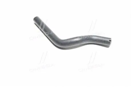 Фото 1 - патрубок водяний Jumper/Boxer 2.8HDI 94-06 (к насосу) RAPRO 11277 Патрубок водяний Jumper/Boxer 2.8HDI 94-06 (к насосу) RAPRO 11277 (фото 1)