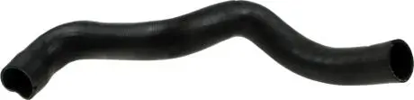 Патрубок інтеркулера Fiat Doblo 1.9JTD 01- RAPRO R11667