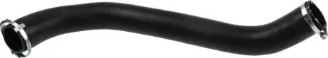 Патрубок інтеркулера Transit 2.4 TDCI 06- (Original) RAPRO R16215